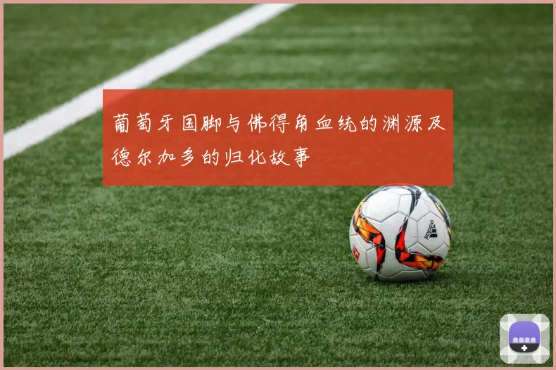 葡萄牙国脚与佛得角血统的渊源及德尔加多的归化故事