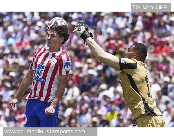 埃弗顿冬季转会瞄准博塔弗戈右后卫维蒂尼奥加强阵容